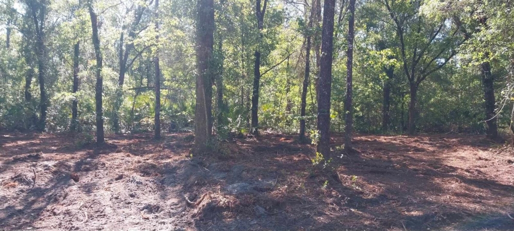 Sunbright Realty, LLC | SunBrightRealty.com | Clermont's #1 Real Estate Brokers Sunbright Realty, LLC | SunBrightRealty.com | Clermont's #1 Real Estate Brokers