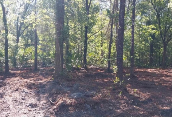Sunbright Realty, LLC | SunBrightRealty.com | Clermont's #1 Real Estate Brokers
